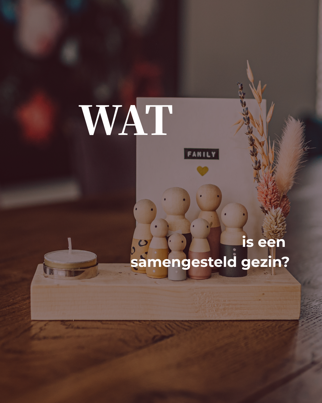 Wat is een samengesteld gezin vs kerngezin?